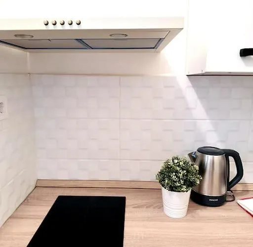 F2 Ultra Danube Loft דירה